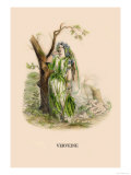 Verveine