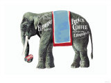 Elephant Brand French Coffee