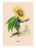 Soleil