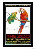 London's Tramways  The Zoo