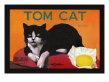 Tom Cat Brand