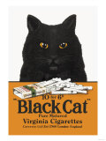 Black Cat Pure Matured Virginia Cigarettes