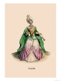 Tulipe