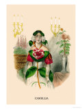 Camellia