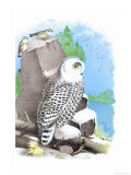 The Snow Owl