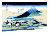 Cranes Nearby Mount Fuji