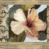 Hibiscus II