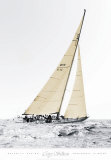 Nefertiti Racing  Nantuckett 12 Meter Regatta