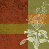 Plant Study I