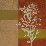 Plant Study III