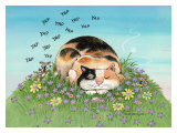 Cat-titude