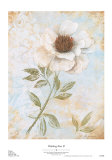 Wedding Rose II