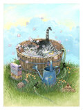 Bath Time