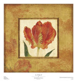 Les Tulipes II