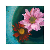Floating Dreams I