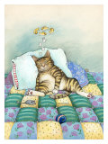 Cat Nap