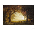 Forest Sunrise