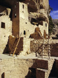 Cliff Palace  Mesa Verde  Anasazi Culture  Colorado  USA