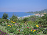 Laguna Beach  California  USA