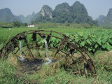 Traditional Bamboo Waterwheel  Guilin  China  Asia
