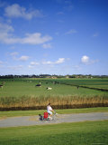 Cycling on the Island of Schiermonnikoog  Friesland  Holland (The Netherlands)  Europe