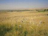 Custer's Last Stand Battlefield  Custer's Grave Site Marked by Dark Shield on Stone  Montana  USA