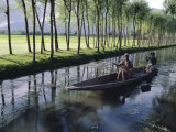 Paddy Fields and Waterway with Local Boat  Kashmir  India
