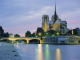 Notre Dame and the River Seine  Paris  France  Europe