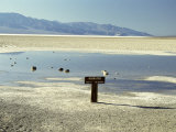 Badwater  Lowest Point in the USA  Death Valley  California  United States of America (USA)