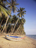 Small Boat on Palm Fringed Beach  Mui Ne Beach  South-Central Coast  Vietnam  Indochina