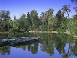 Ciutadella Park and Boating Lake  Barcelona  Catalunya (Catalonia) (Cataluna)  Spain  Europe
