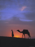 Camel Silhouetted Against the Sunset  Thar Desert  Near Jaisalmer  Rajasthan State  India  Asia