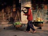 Woman Carrying Fruit and Vegetables  Hoi An  Central Vietnam  Vietnam  Indochina  Southeast Asia