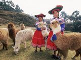 Portrait of Two Peruvian Girls in Traditional Dress  with Their Animals  Near Cuzco  Peru