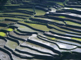 Flooded Rice Terraces  2000 Years Old  Banaue  Island of Luzon  Philippines  Southeast Asia  Asia