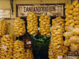Sponges for Sale in Plaka  Athens  Greece  Europe