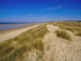 Dunes at Hardelot Plage  Near Boulogne  Pas-De-Calais  France  Europe