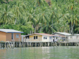 Stilt Houses of a Fishing Village  Sabah  Island of Borneo  Malaysia