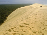 Dune Du Pilat  Gironde  Aquitaine  France  Europe