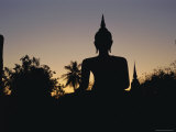 Buddha Statue in the Historical Park  Old Sukothai / Muang Kao  Sukothai  Thailand  Asia