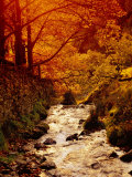 Fall Foliage and Running Stream  Grindsbrook Edale  Peak District  Derbyshire  England  UK