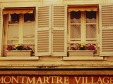 Window Boxes and Shutters  Montmartre  Paris  France  Europe
