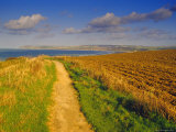 Cap De Gris-Nez  Pas-De-Calais  Nord-Picardie (Picardy)  France  Europe