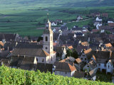Vineyards and Skyline of the Town  Riquewihr  Haut-Rhin  Alsace  France  Europe