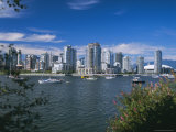 City Skyline from False Creek  Vancouver  British Columbia (BC)  Canada  North America