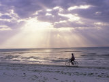Fisherman Cycling Along the Beach Near Bweju Against Dramatic Sky  Island of Zanzibar  Tanzania