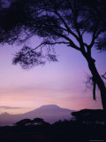Sunrise  Mount Kilimanjaro  Amboseli National Park  Kenya  East Africa  Africa