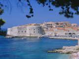 Old Town and Harbour  Dubrovnik  Croatia