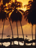 Mount Irvine Bay  Tobago  Caribbean  West Indies