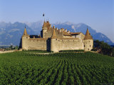 Aigle Chateau and Vineyard  Near Lac Leman  Switzerland